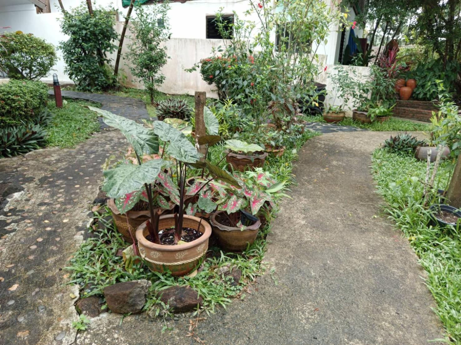 Faye Orchid Garden Resort Koh Chang Exterior photo